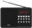 Портативный радиоприемник Ritmix RPR-001 черный