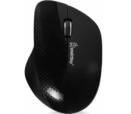 Мышь беспроводная Smartbuy 309AG (SBM-309AG-K)/40 черная